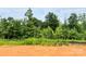 Lush wooded backyard with a privacy border, perfect for enjoying nature at 1453 Ardmore Dr # 240, Sherrills Ford, NC 28673
