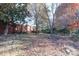 Leafy backyard with mature trees and brick fence at 610 Hawthorne Ln, Charlotte, NC 28204