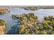 Breathtaking aerial view of lakefront property with lush trees and clear waters at 1119 Palmyra Dr, Tega Cay, SC 29708