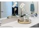 Bright bathroom featuring a white countertop with a modern faucet, decorative tray, and elegant floral accents at 120 Keats Aly, Cramerton, NC 28032