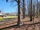 Wooded lot with lots of shade and mature trees leads to a storage shed and carport at 1730 Martin Rd, Kings Mountain, NC 28086
