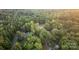 Aerial shot shows a home nestled among verdant trees, with roads nearby, balancing seclusion and accessibility at 463 Lake Wylie Rd, Belmont, NC 28012