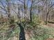 View of wooded backyard and lush greenery, ideal for nature lovers at 111 Forest Walk Way, Mooresville, NC 28115