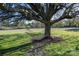 Relaxing backyard featuring a hammock strung between a tree, offering a peaceful retreat on a well-maintained lawn at 1615 Stack Rd, Monroe, NC 28112