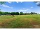 View of fenced horse pasture with mature trees and blue sky at 1363 John Cline Ct, Lincolnton, NC 28092