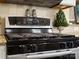 Stainless steel gas stove with tiled backsplash and decorative elements at 604 Wisteria Walk Way, Fort Mill, SC 29715