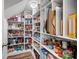 Walk-in pantry with custom shelving provides ample storage for all of your grocery needs at 5030 Lily Pond Cir, Waxhaw, NC 28173