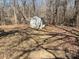 Rustic wooden shed nestled among trees, perfect for storage or a workshop, with a natural setting at 6536 Pineburr Rd, Charlotte, NC 28211