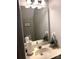 Clean bathroom with a sink, mirrored cabinet, and leafy green plants adding a touch of nature at 9068 Cinnabay Dr, Charlotte, NC 28216