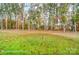 Expansive backyard with lush green grass and colorful autumn foliage, framed by mature trees at 2003 Mantle Ridge Dr # 191, Wesley Chapel, NC 28079