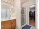 Bathroom with shower, sink, and vanity, leading to a spacious walk-in closet at 3905 Farlow Rd, Charlotte, NC 28269