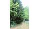 Lush backyard featuring mature trees and a charming white picket fence, creating a private oasis at 13127 Centennial Commons Pkwy, Huntersville, NC 28078
