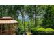 Backyard view of a gazebo surrounded by trees and green vegetation at 298 Poplar Grove Ct, Taylorsville, NC 28681