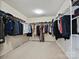 This walk-in closet features ample storage space, with shelves and racks on all sides at 11621 Red Knoll Ln, Pineville, NC 28134
