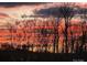 A colorful sunset is seen beyond a silhouetted tree line, setting a serene tone at 121 Hanks Bluff Dr, Mooresville, NC 28117