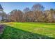 Expansive backyard with lush lawn and mature trees, creating a serene and private setting at 229 River Birch Dr, Salisbury, NC 28146