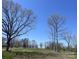 Expansive backyard with a picturesque treeline bordering a lush green lawn under a clear blue sky at 3225 Liberty Rd, Gold Hill, NC 28071