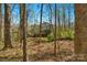 Secluded back of house features a wooden deck, screened porch and a small wooden bridge at 3109 Savannah Hills Dr, Matthews, NC 28105