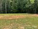 Backyard with trees; grass has been tilled and seeded in preparation for landscaping at 185 Crystal Bay Dr, Mooresville, NC 28115