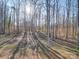 A look at the wooded area located in the backyard at 185 Crystal Bay Dr, Mooresville, NC 28115