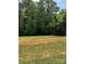 Backyard with trees; grass has been tilled and seeded in preparation for landscaping at 185 Crystal Bay Dr, Mooresville, NC 28115