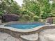 A beautiful in-ground pool surrounded by lush landscaping at 557 S Portman Ln, Fort Mill, SC 29708