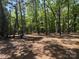 Wooded lot with mature trees, offering privacy and natural beauty, barrel included at 1500 Griffith Rd, Monroe, NC 28112