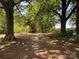 Picturesque driveway lined with mature trees, creating a scenic and private entrance at 1500 Griffith Rd, Monroe, NC 28112