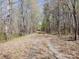 View of a dirt road through wooded property and a small building at the end of the road at 2018 Fox Creek Trl, Lincolnton, NC 28092