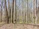 Shot of a wooded area showing densely packed trees and ground covered in fallen leaves and small vegetation at 2018 Fox Creek Trl, Lincolnton, NC 28092