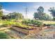 A lush garden features raised beds with garden plots, and verdant landscaping at 22 Honeysuckle Ln, Clover, SC 29710