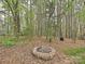 Brick fire pit surrounded by towering trees and lush greenery at 119 Dills Dr, Dallas, NC 28034
