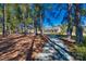 Long driveway with mature trees and a brick house in the background at 1515 Paul Boyd Rd, Clover, SC 29710