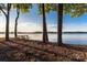Scenic lake view featuring a wooden picnic table under mature trees at 201 Riverview Ter, Lake Wylie, SC 29710