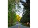 Charming street view featuring mature trees and a quaint home with an American flag at 201 Riverview Ter, Lake Wylie, SC 29710