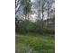 Spacious backyard offering ample space for outdoor activities and landscaping projects at 8502 Simpson Rd, Waxhaw, NC 28173