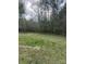 A view of the yard with a picnic table in the distance at 8502 Simpson Rd, Waxhaw, NC 28173