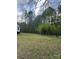 A view of the yard with bamboo plants in the foreground at 8502 Simpson Rd, Waxhaw, NC 28173