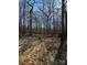 Image of a wooded area with tracks in the dirt at 9947 Lancaster Hwy # 7, Waxhaw, NC 28173