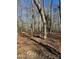 Photo of land covered with dried leaves and trees in the background at 9947 Lancaster Hwy # 7, Waxhaw, NC 28173