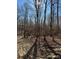 Image of a wooded area with tracks in the dirt at 9947 Lancaster Hwy # 7, Waxhaw, NC 28173