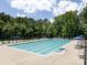 Large, rectangular community pool surrounded by lounge chairs and mature trees at 4148 Cedar Point Ave, Matthews, NC 28104
