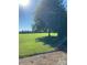 Lush green backyard featuring a large tree providing ample shade, perfect for outdoor enjoyment at 4519 S Potter Rd, Monroe, NC 28112