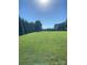 Well-maintained, large grassy lawn with mature trees and clear blue sky at 4519 S Potter Rd, Monroe, NC 28112