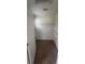 A walk-in closet featuring shelving and neutral carpet at 1134 Riverside Dr, Charlotte, NC 28214