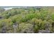 Aerial view of lush landscape showcasing mature trees and the lake beyond at 27 Heritage Ct, Lake Wylie, SC 29710