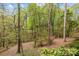 Lush backyard showcasing mature trees and natural landscaping at 27 Heritage Ct, Lake Wylie, SC 29710