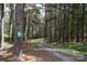 Picturesque gravel driveway winding through a lush forest, offering privacy and seclusion at 7780 Stokes Ferry Rd, Salisbury, NC 28146