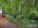 A dense, lush backyard offers a private and green natural space at 2214 Olde Chantilly Ct, Charlotte, NC 28205