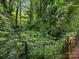 A dense, lush backyard offers a private and green natural space at 2214 Olde Chantilly Ct, Charlotte, NC 28205